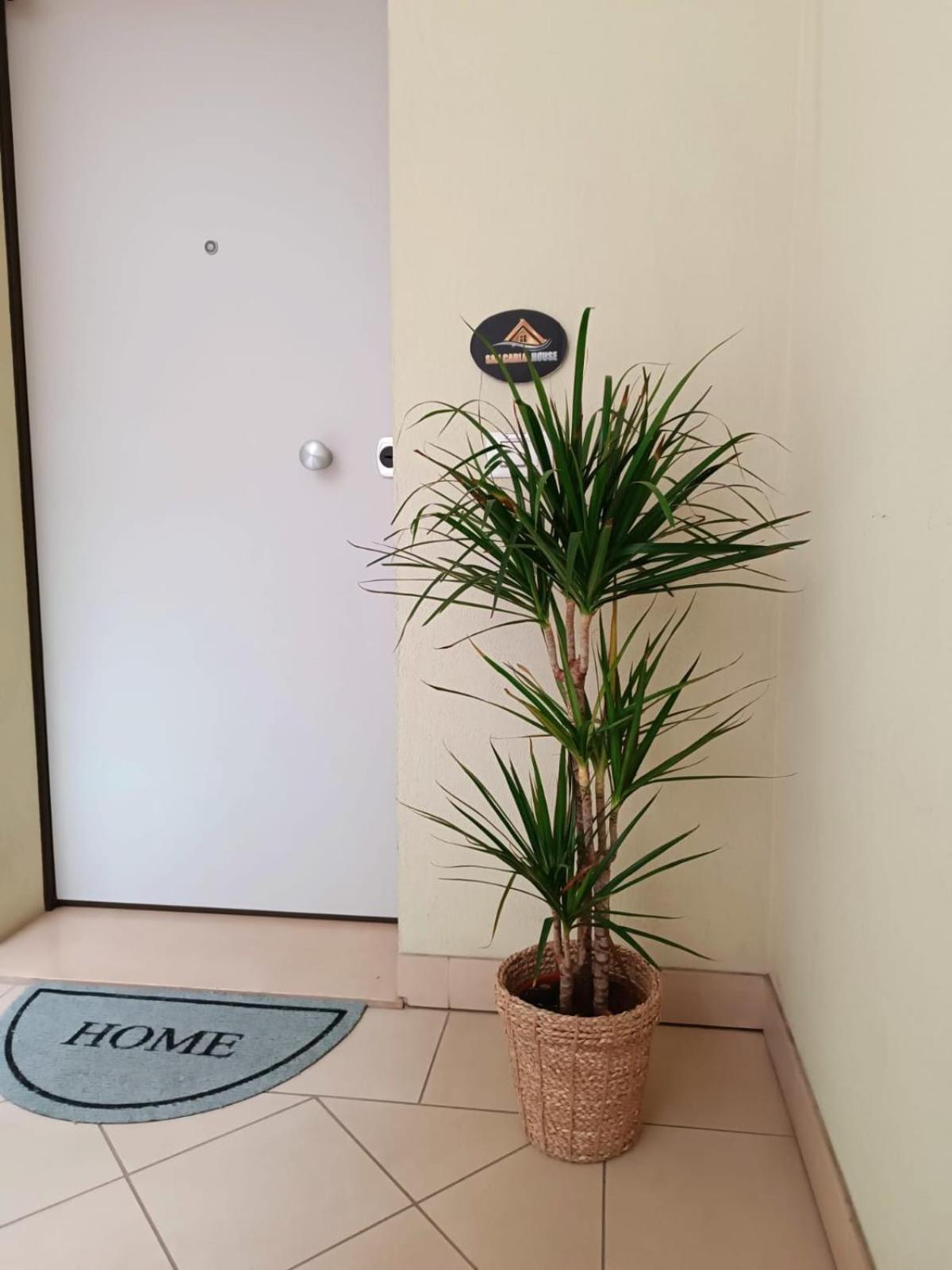 Castel Guelfo Di BolognaSan Carlo Houseアパートメント エクステリア 写真